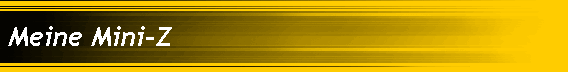 Meine Mini-Z